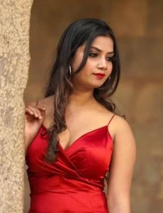 call girl service in Adarsh Nagar